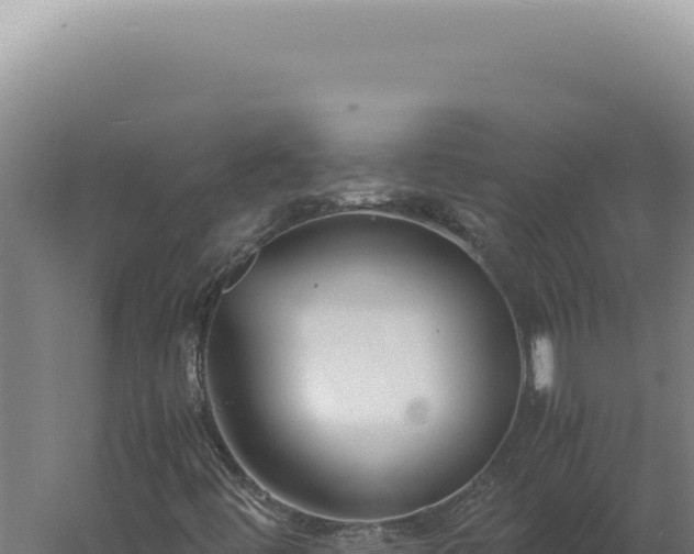 X0000060261444200511041337