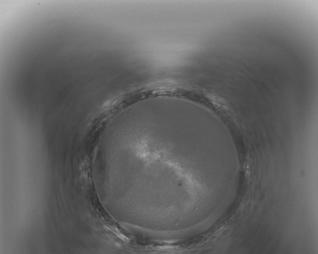 X0000060261445200511041337