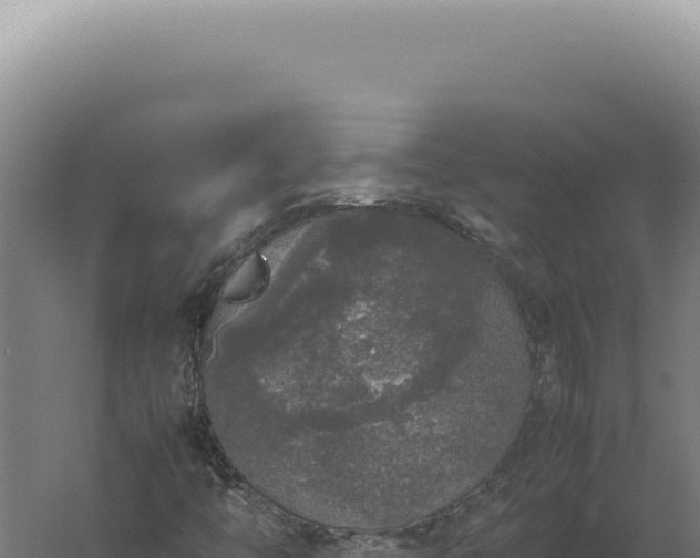 X0000060261446200511041337