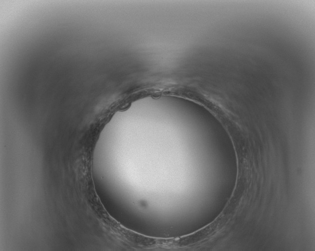 X0000060261447200511041337