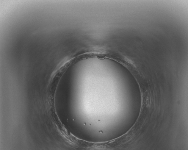 X0000060261448200511041337