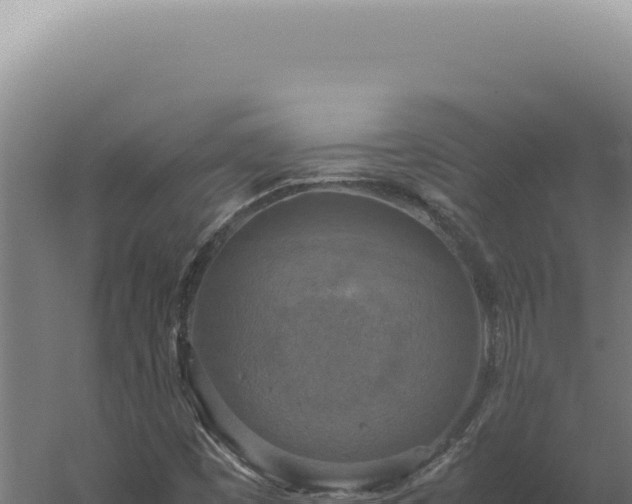 X0000060261449200511041337