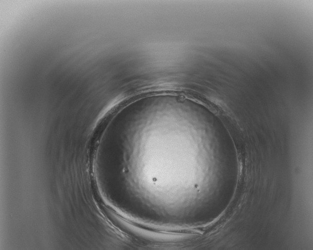 X0000060261450200511041337