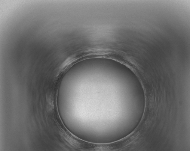 X0000060261451200511041337