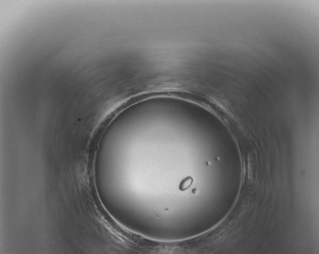 X0000060261452200511041337