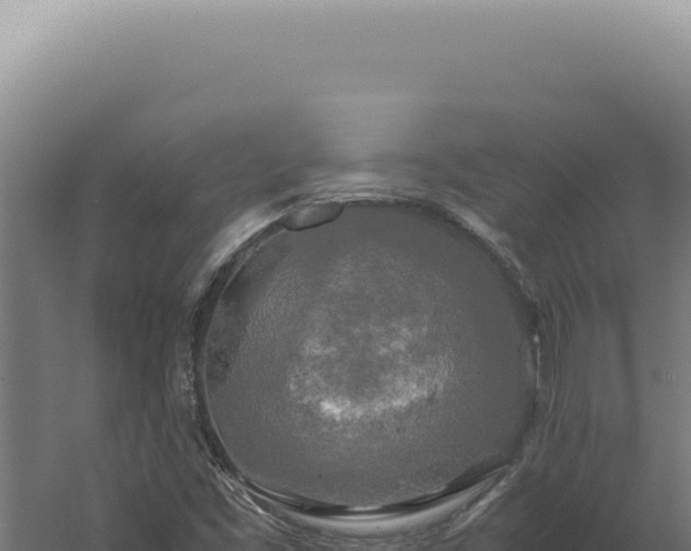 X0000060261453200511041337