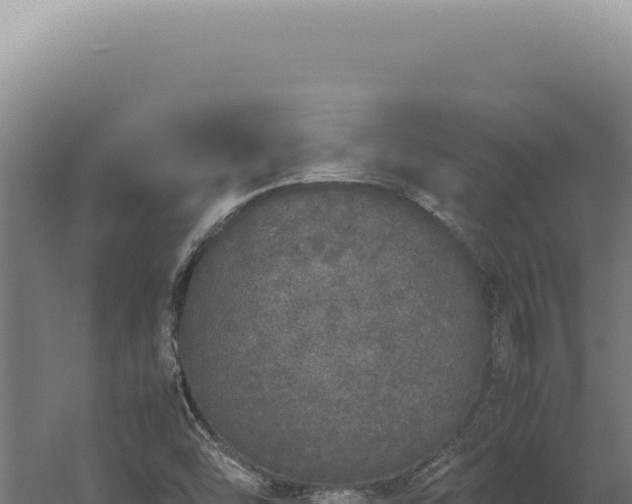 X0000060261454200511041337