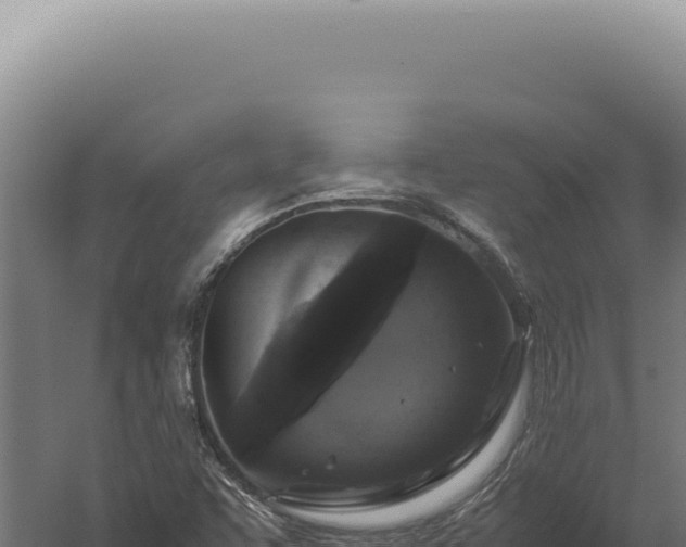 X0000060261455200511041337