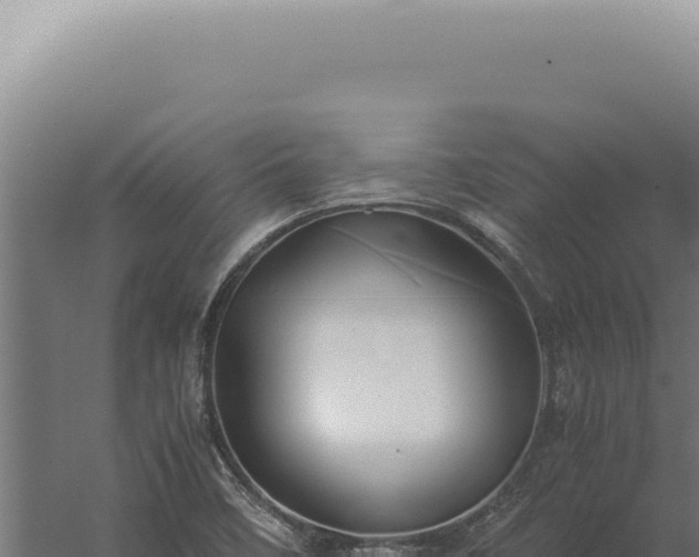 X0000060261458200511041337