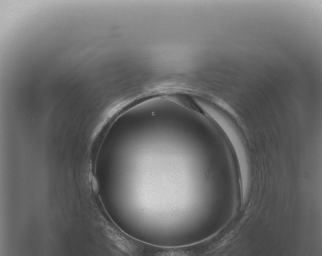 X0000060261461200511041337