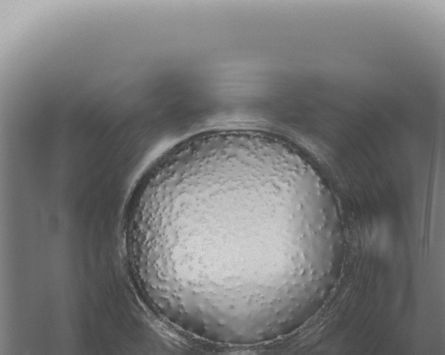 X0000060261462200511041336