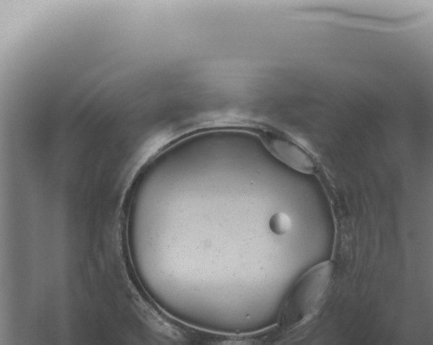 X0000060261463200511041336