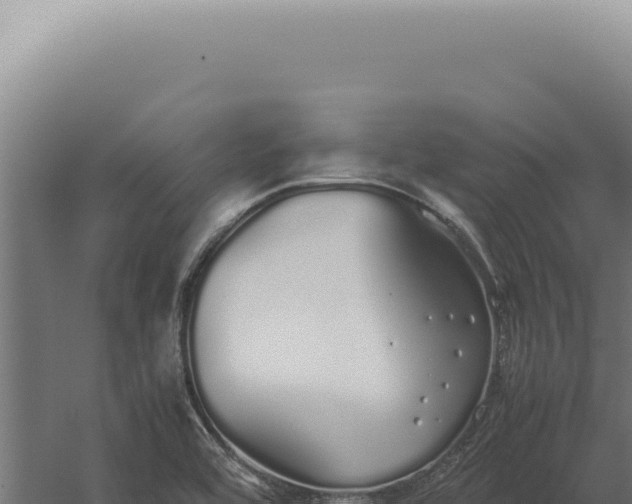 X0000060261464200511041336