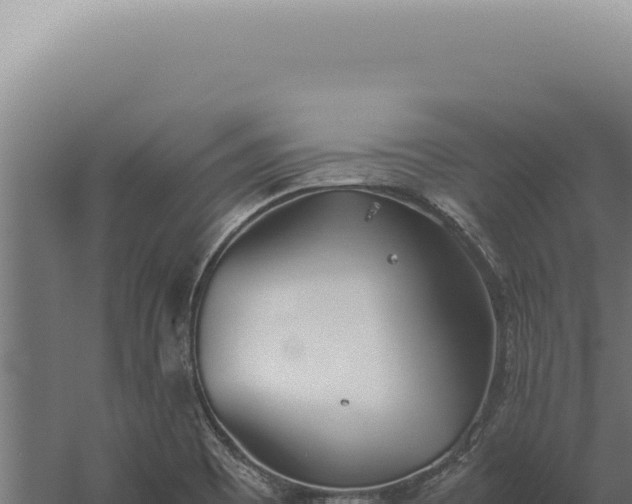 X0000060261465200511041336