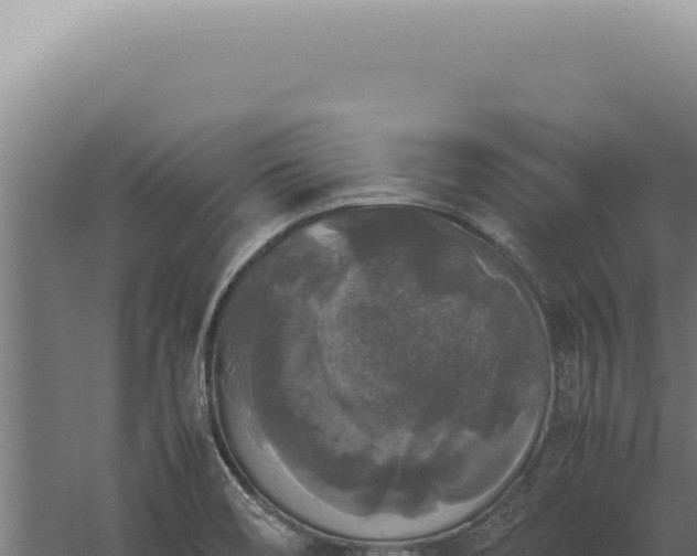 X0000060261466200511041336