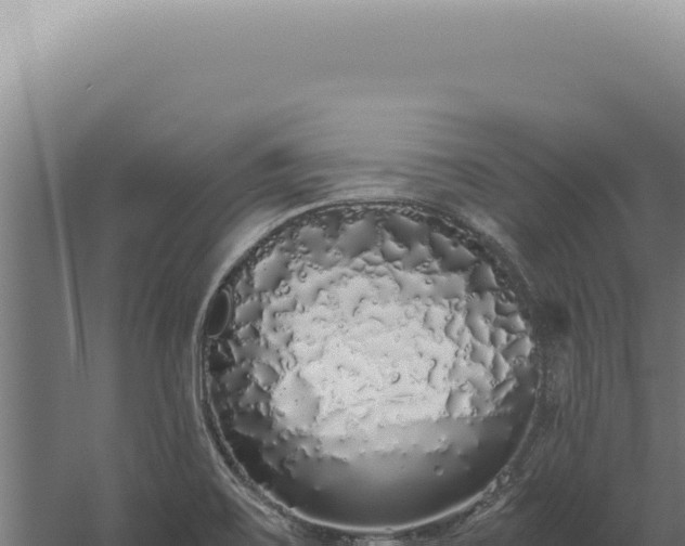 X0000060261467200511041336