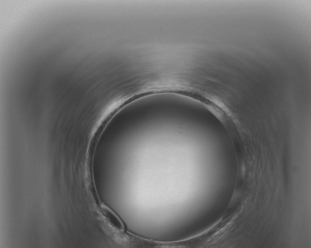 X0000060261469200511041336