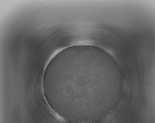 X0000060261470200511041336