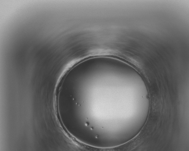 X0000060261472200511041336