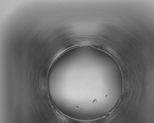 X0000060261473200511041336