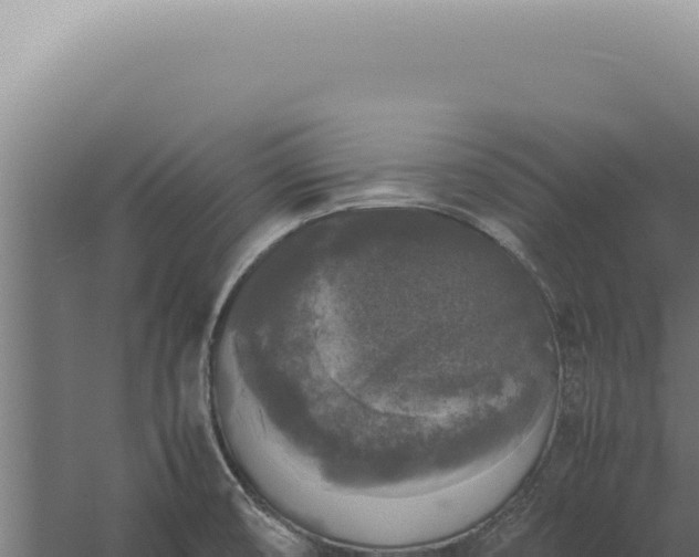 X0000060261474200511041336