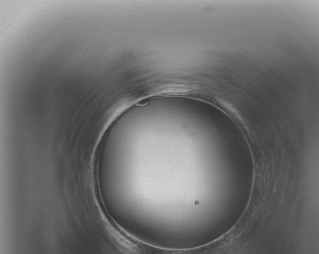 X0000060261475200511041336