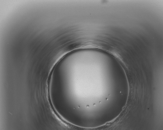 X0000060261476200511041336