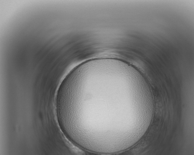 X0000060261478200511041336