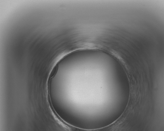 X0000060261479200511041336