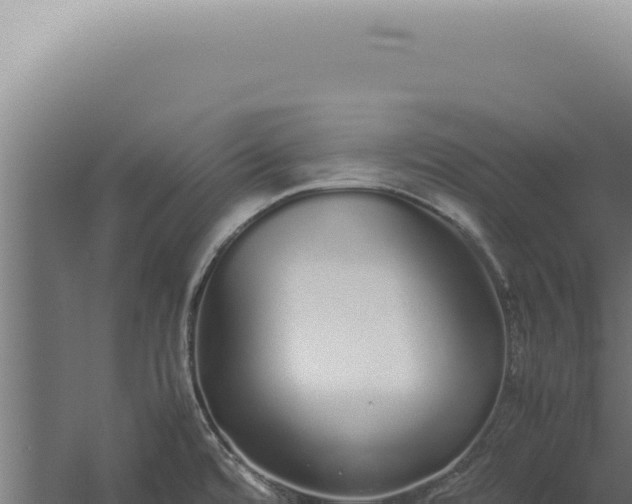 X0000060261480200511041336