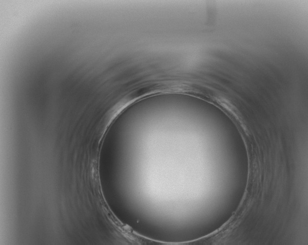 X0000060261481200511041336