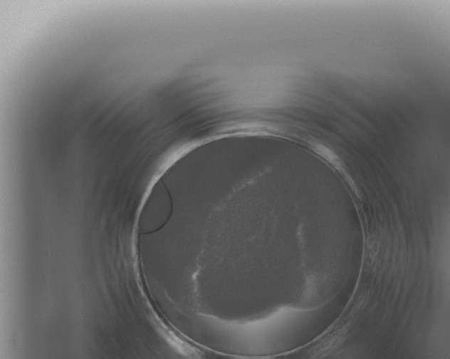 X0000060261482200511041336