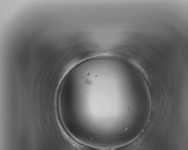 X0000060261483200511041336