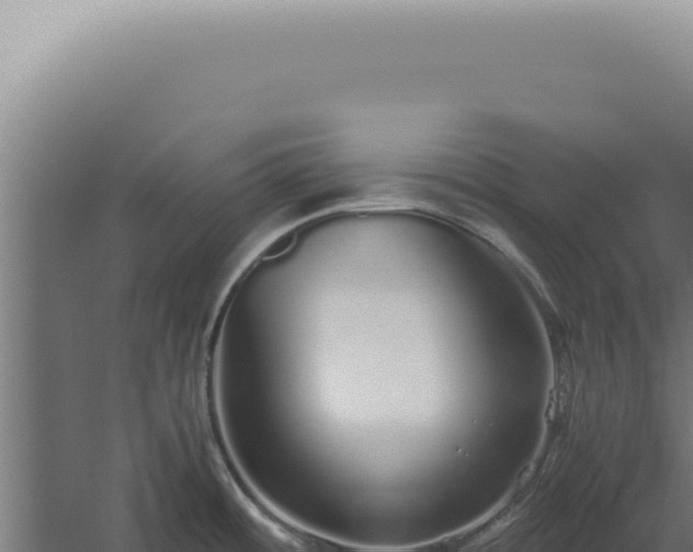 X0000060261484200511041336