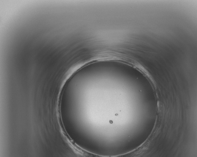 X0000060261485200511041336