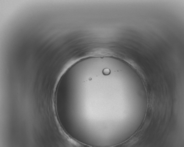 X0000060261486200511041336