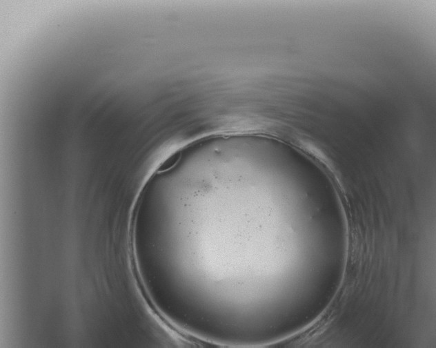 X0000060261487200511041336