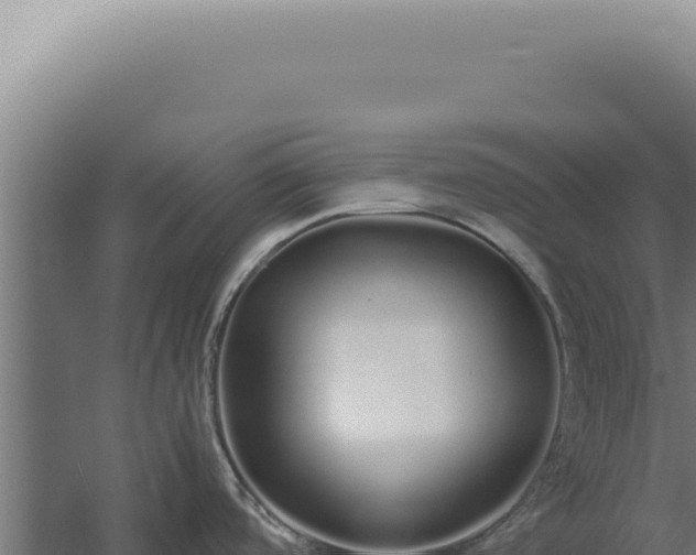 X0000060261488200511041336