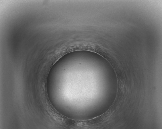 X0000060261489200511041335