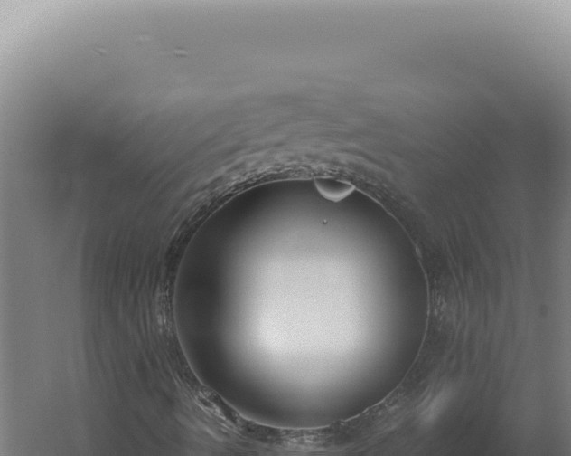 X0000060261490200511041335