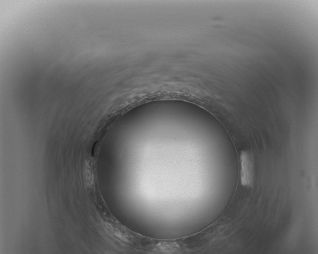 X0000060261491200511041335