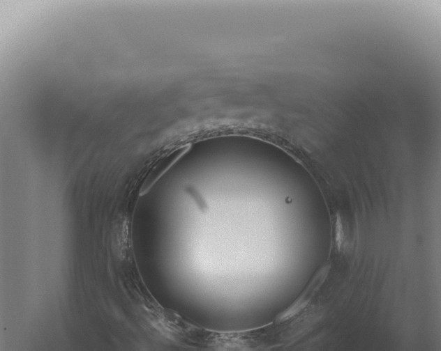 X0000060261492200511041335