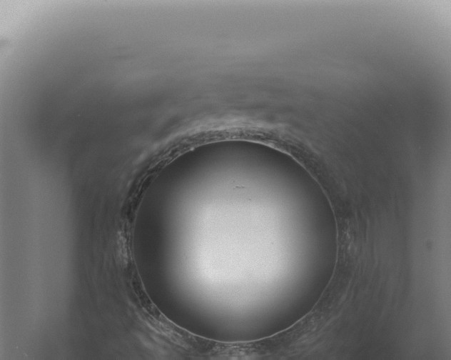 X0000060261493200511041335