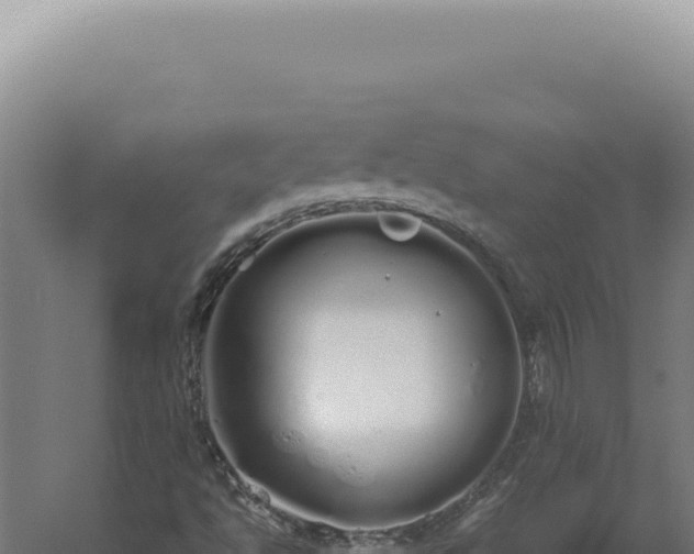 X0000060261494200511041335