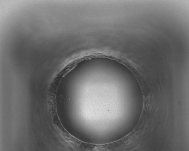 X0000060261496200511041335