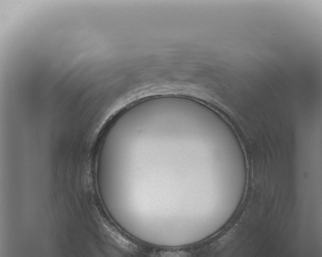 X0000060261498200511041335