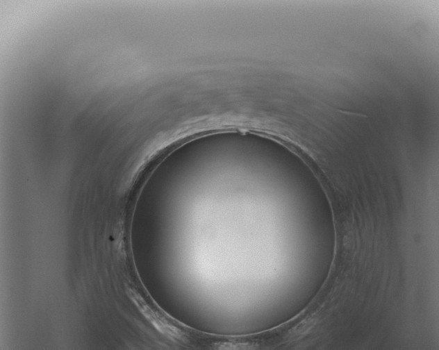 X0000060261499200511041335