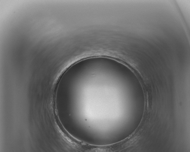 X0000060261500200511041335