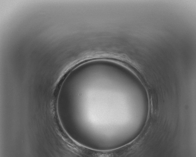 X0000060261501200511041335