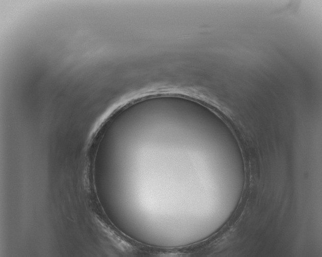 X0000060261502200511041335